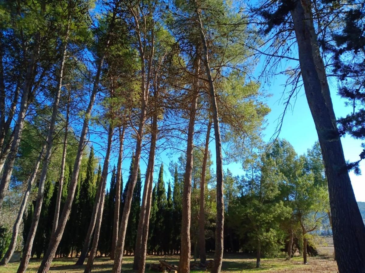Finca Micalas 3*