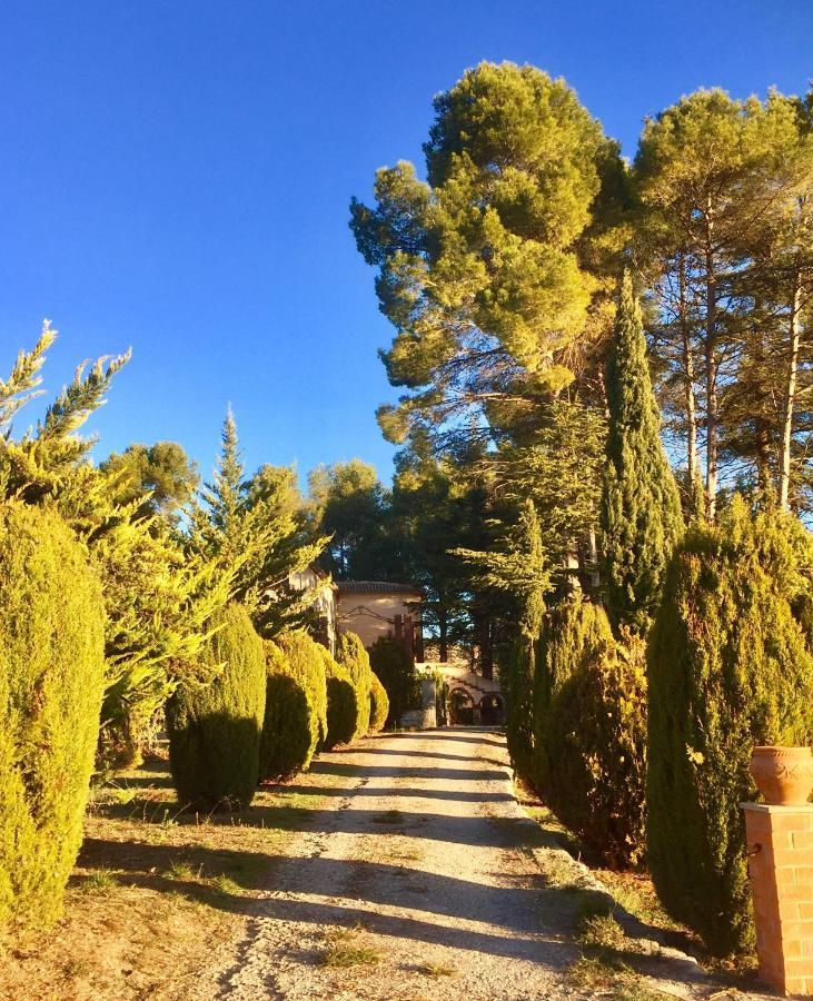 Guest house Finca Micalas 3*