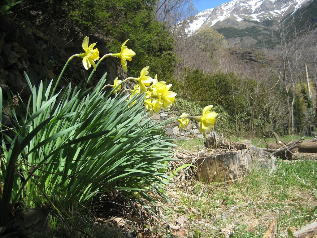 Refugi Casa Tacita Hostal *