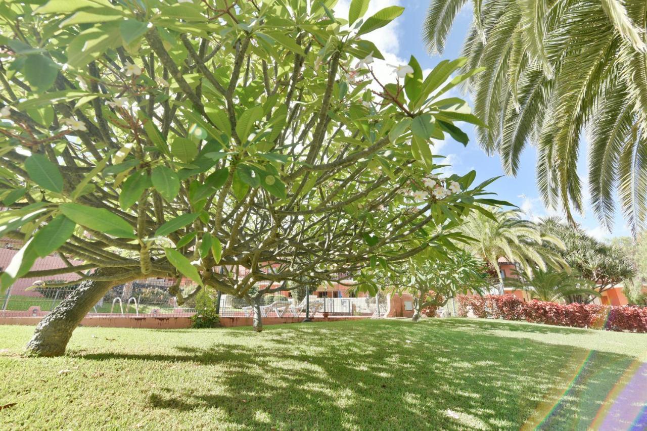 Radi Apartamento Breña Baja