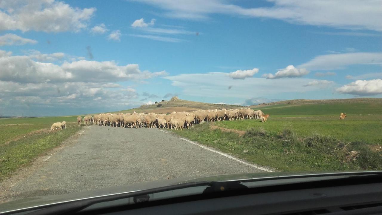 Camino Del Prado