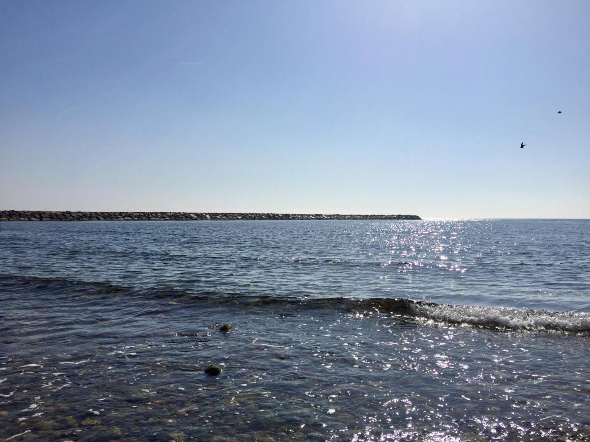 Synergie Si06 - Sol * Cambrils