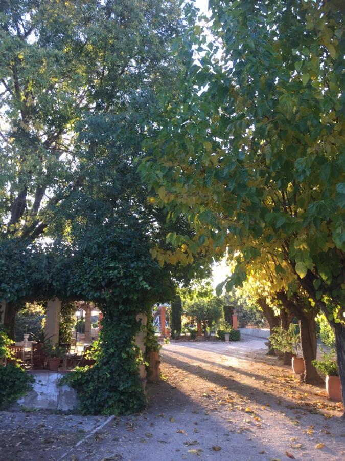 Finca Micalas 3*