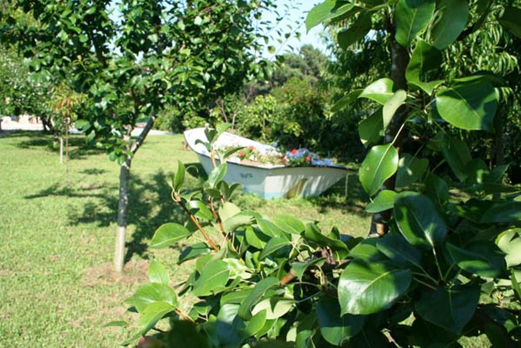 Rural Neixon Hotel Boiro