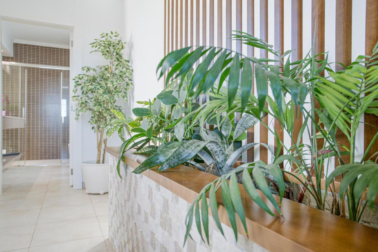Santana Villa Conil