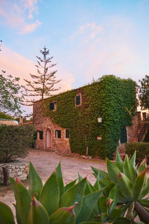 Finca S'aigo *