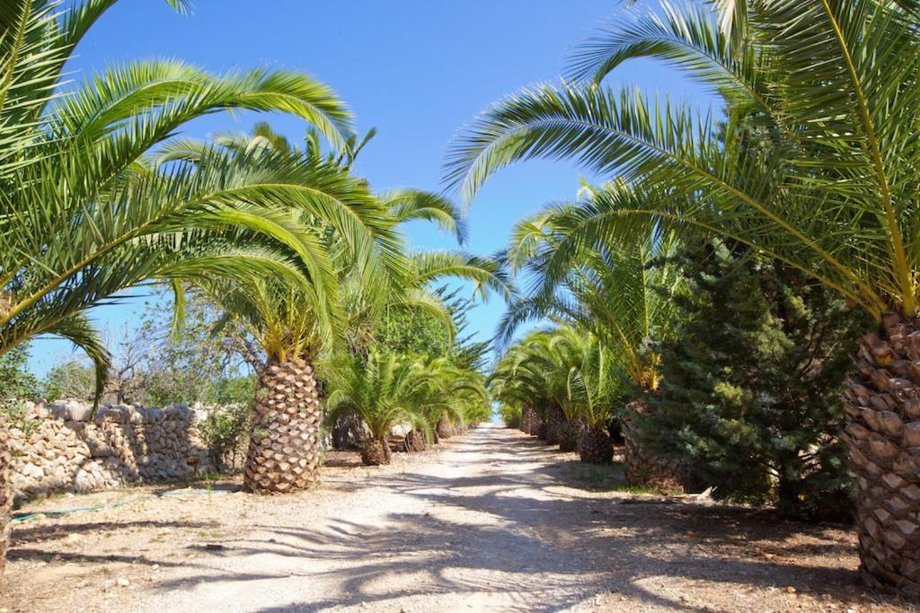 Casa rural Finca S'aigo Portocolom (Mallorca)