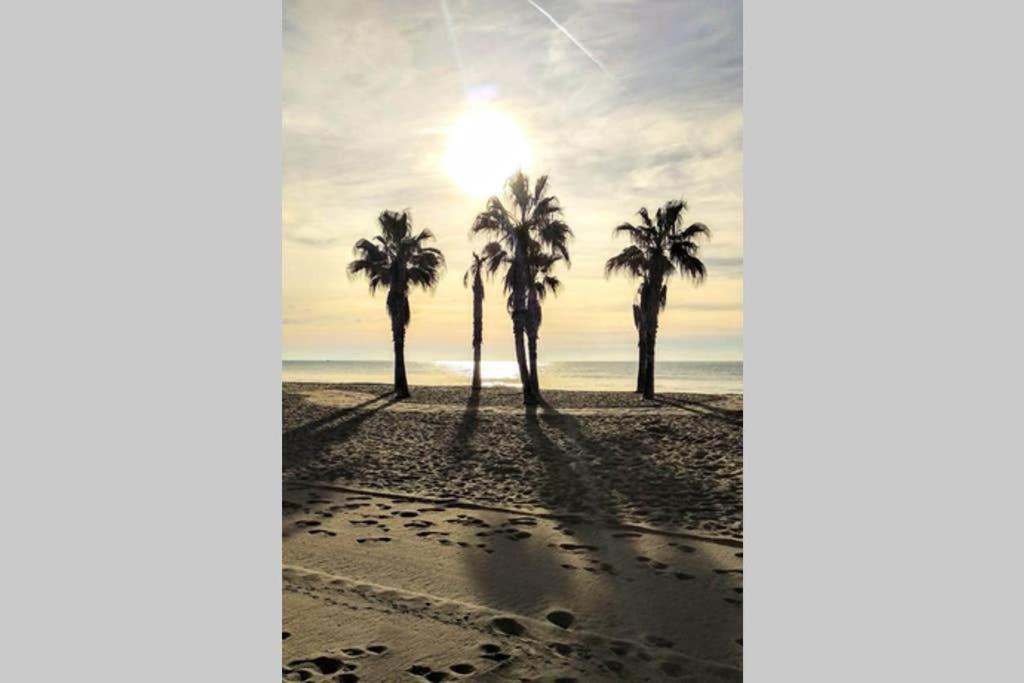 Apartamento En A 100m De La Playa *