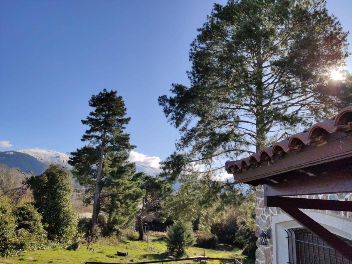 Сasa de vacaciones Casa Rural El Pinar
