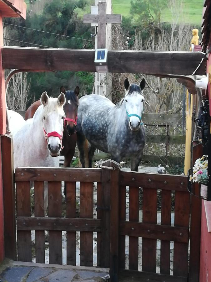 La Hacienda Del Campo Apartamento