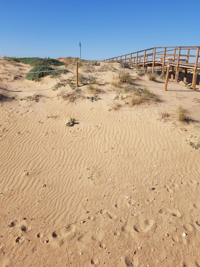 Apartment Torrevieja, La Mata 1 Bedroom *