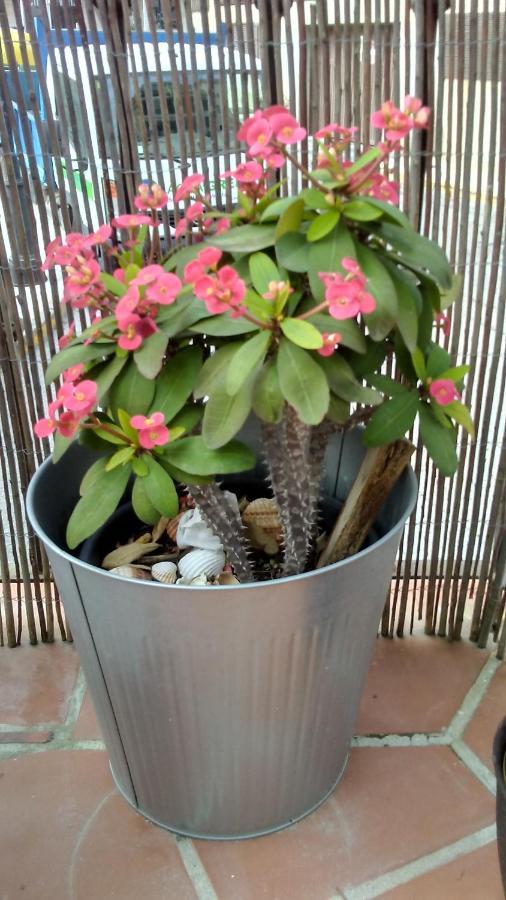 Turístico Florhouse Apartamento