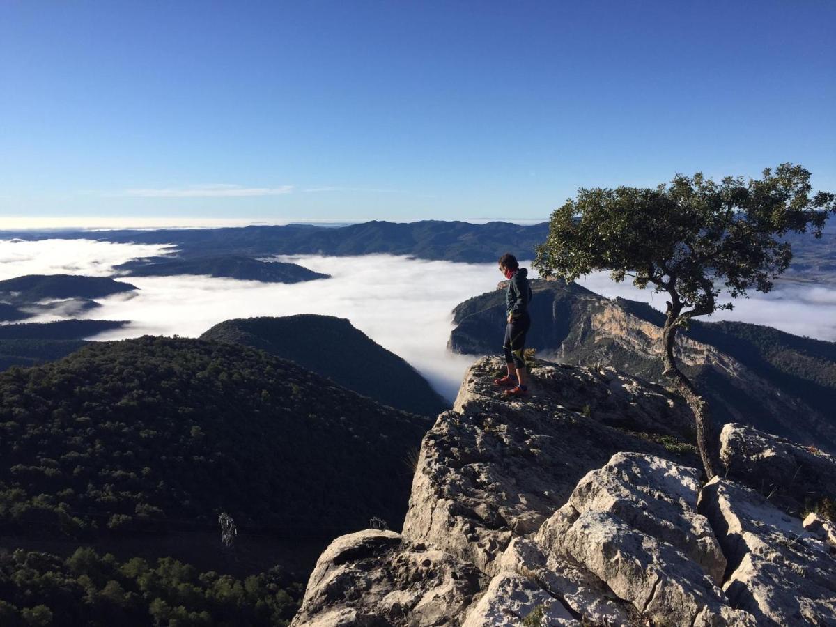 Apartamento Cinca Pirineo En Aínsa