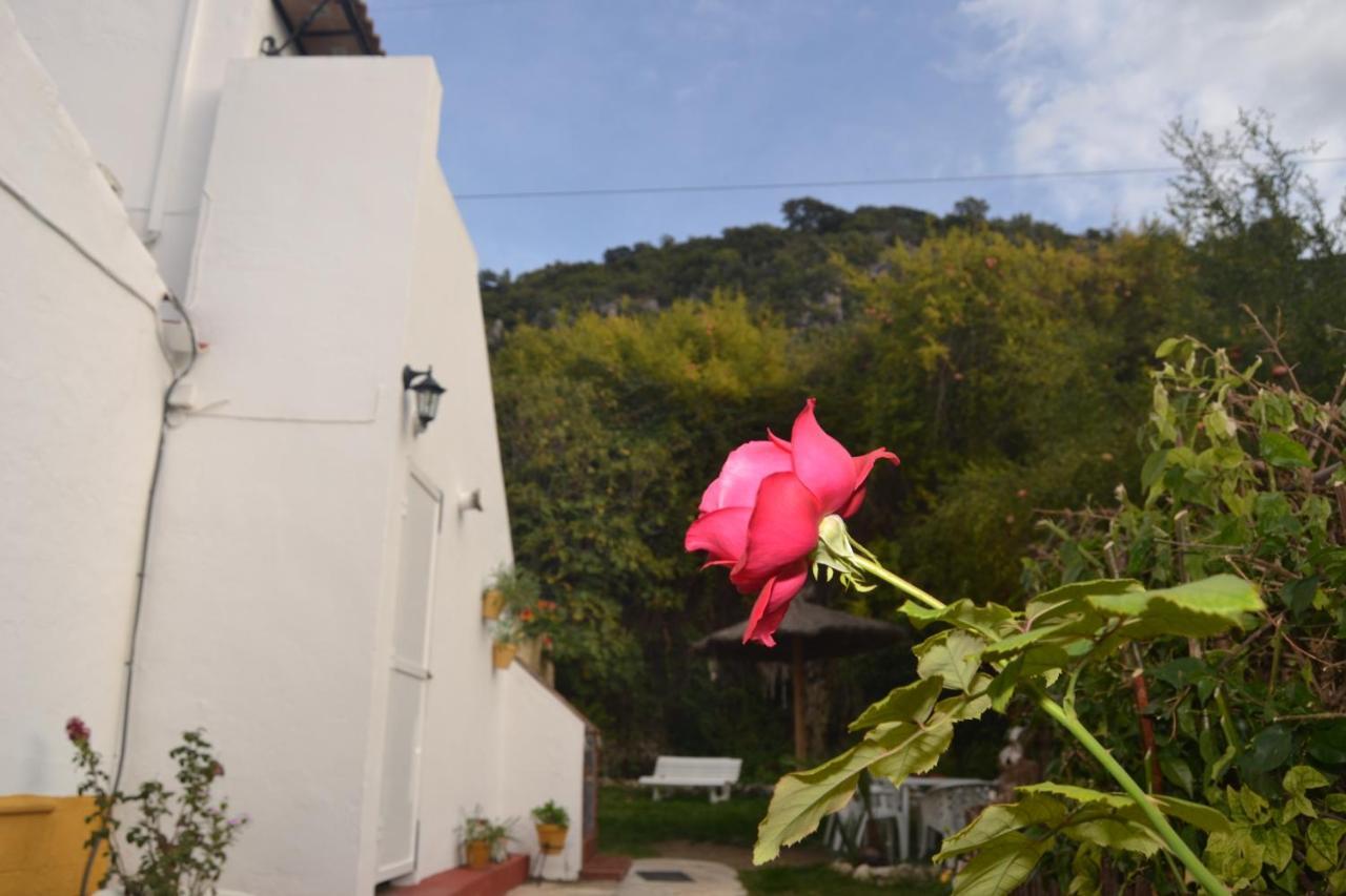 Casa La Cascada Holiday home *