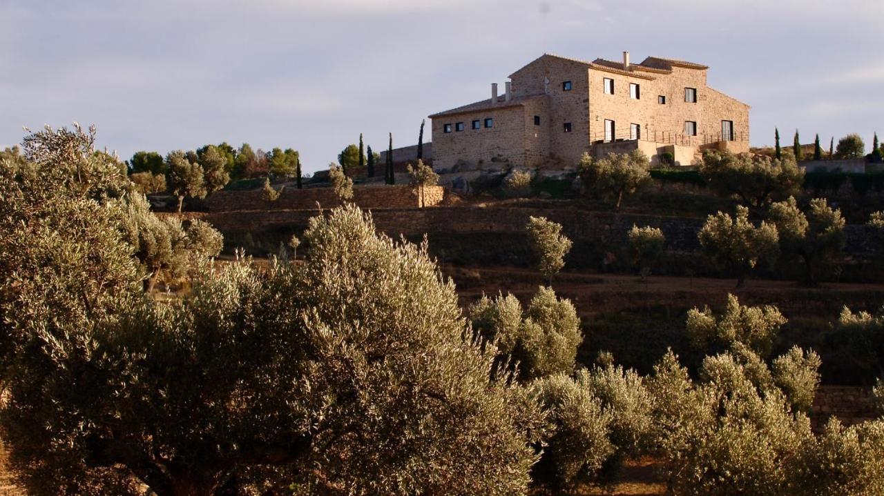 Villa Mas De Caspe *