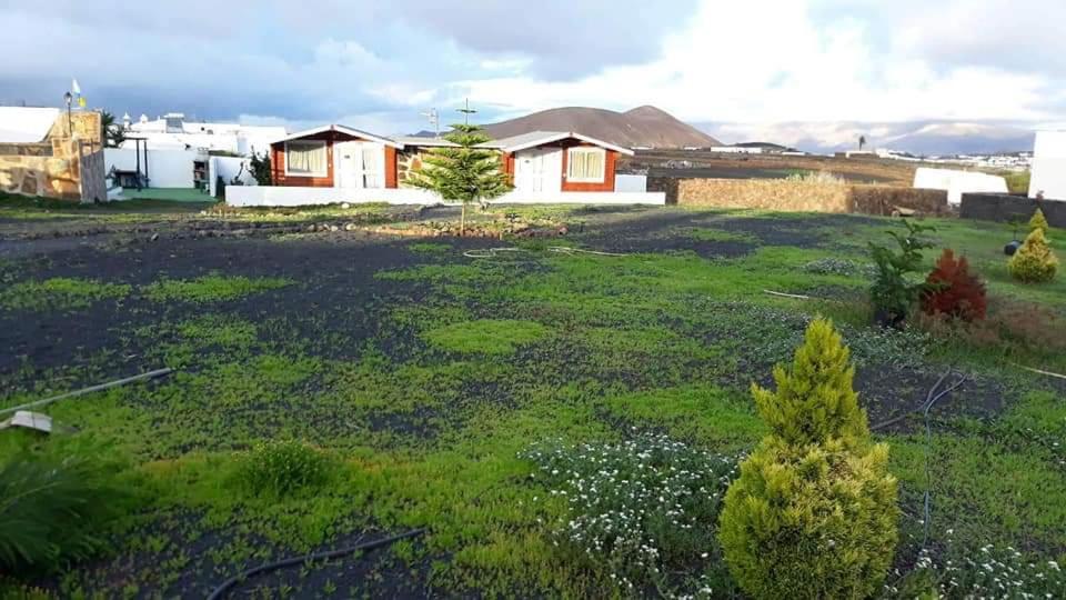 Volcán Capellania Сasa de vacaciones