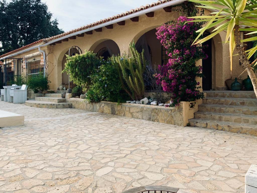 Casa Surplace