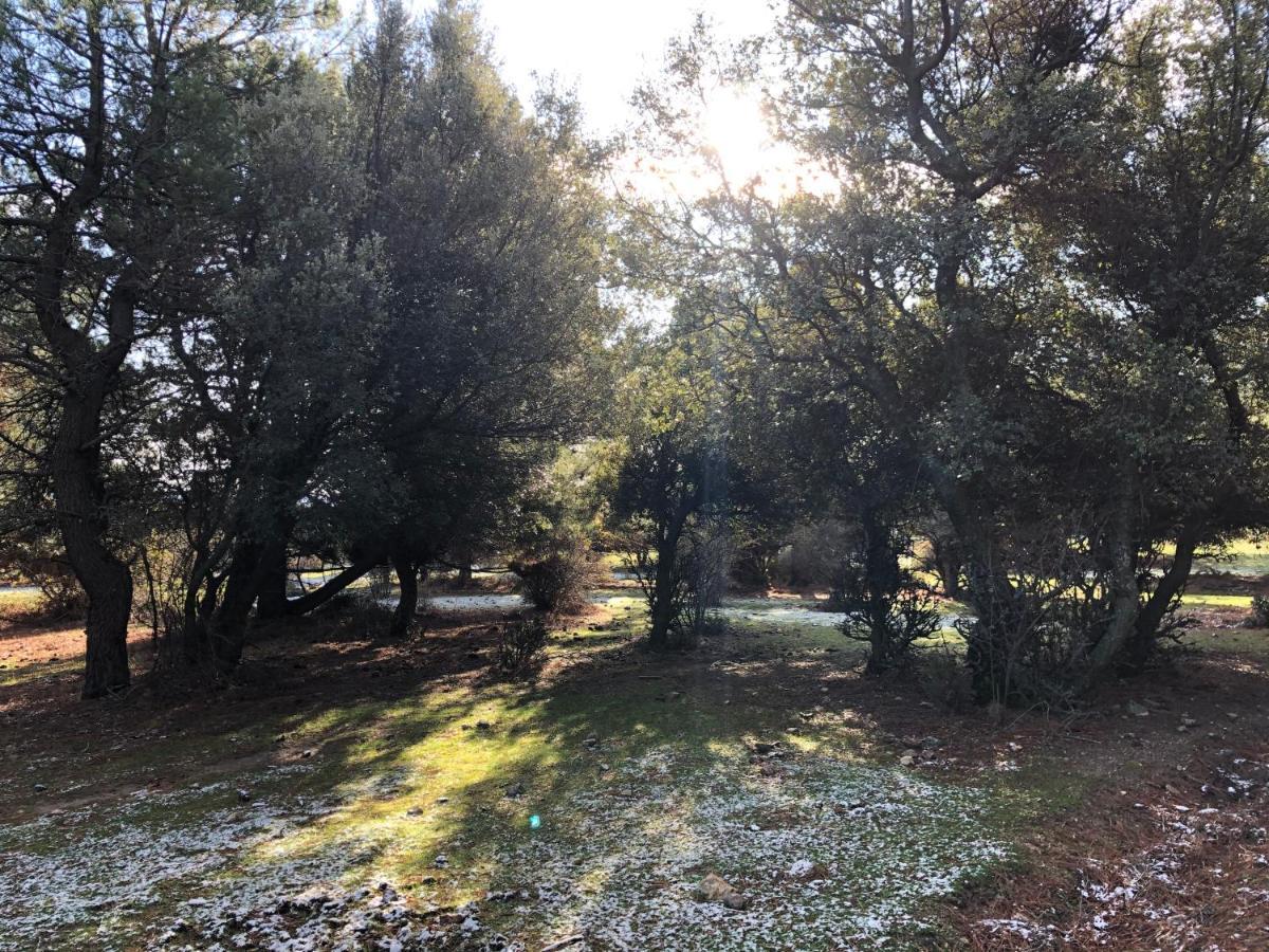 Apartment La Olma Guadarrama