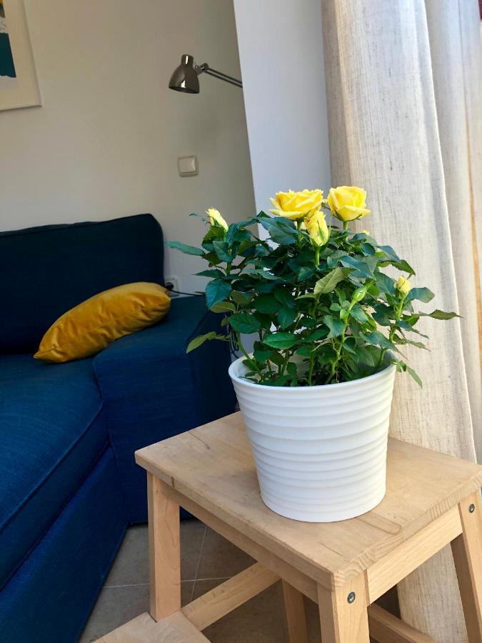 Vida Apartment *