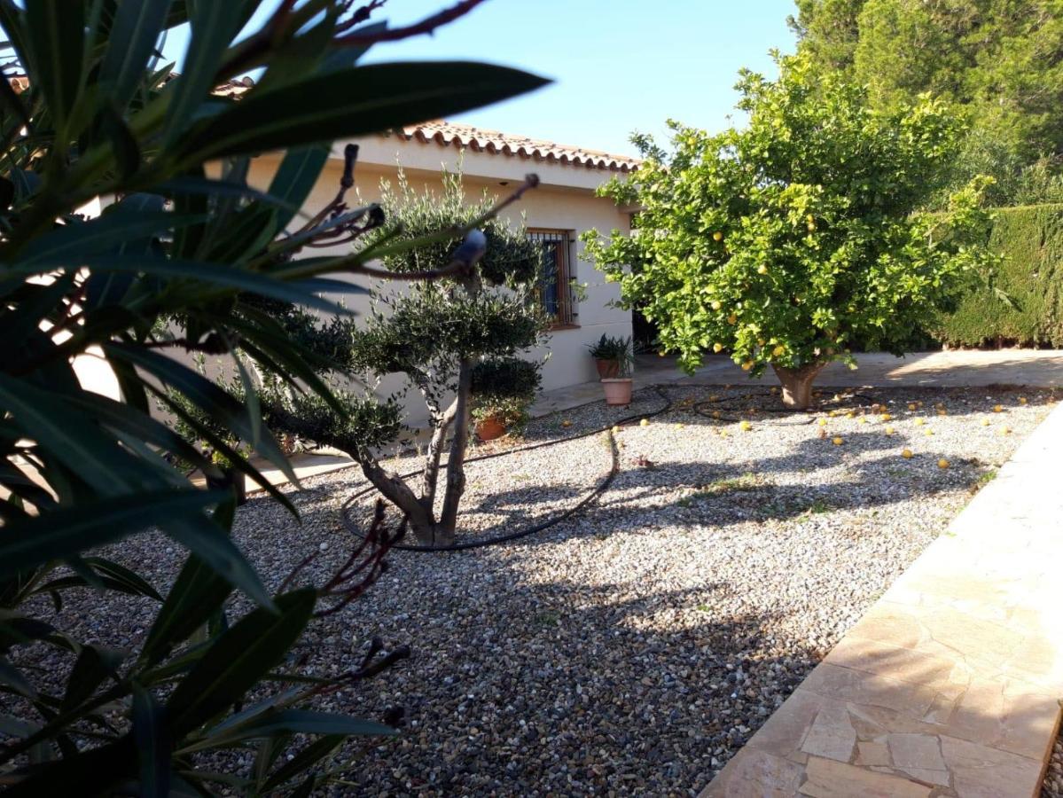 Casa La Rana