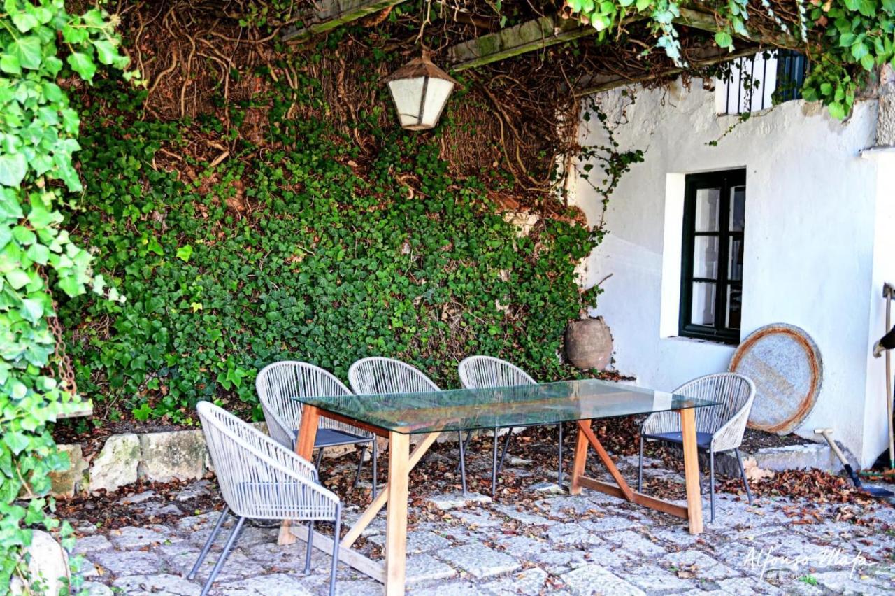 Holiday home La Casona De Dona Clotilde Sardon De Duero