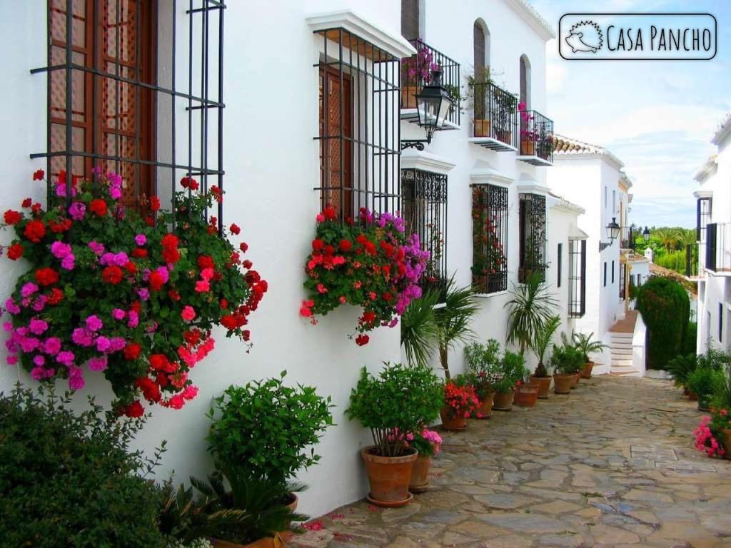 Apartamento Apartamento Milla De Oro 5 Personas