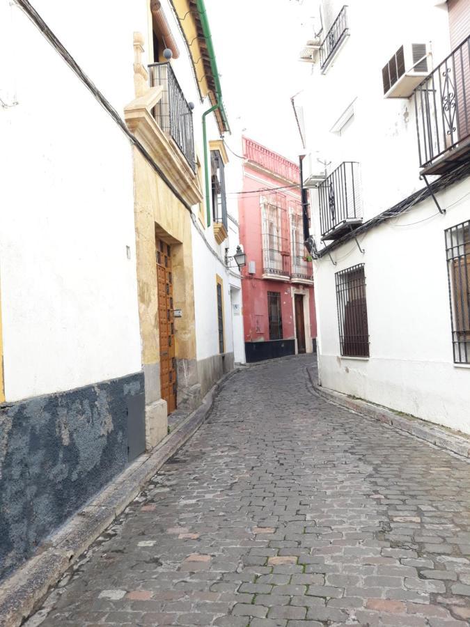 Pleno Centro Wallada Apartamento Córdoba
