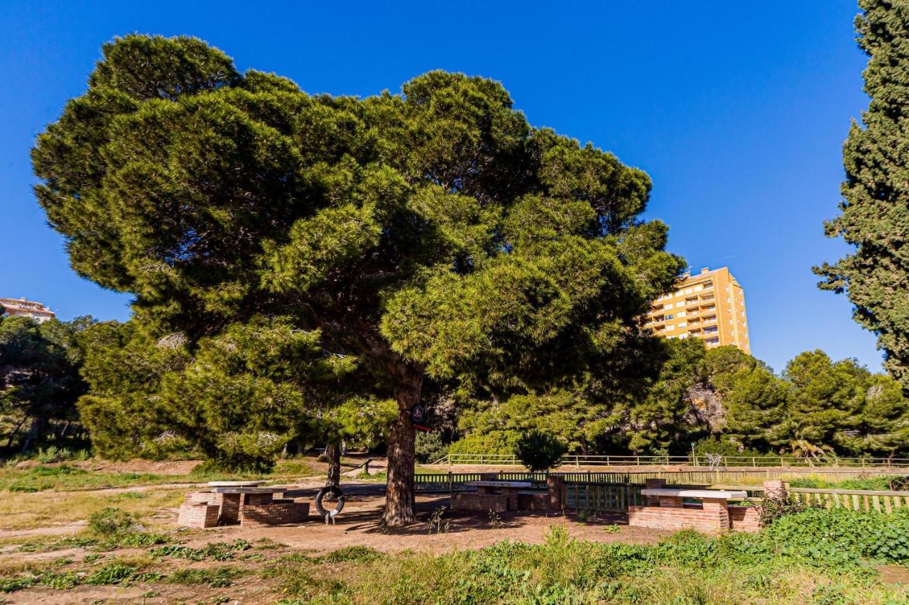 House In A Pine Park Near The Sea Сasa de vacaciones Dehesa de Campoamor