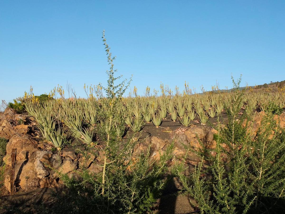 Santillos * El Pinar (El Hierro)