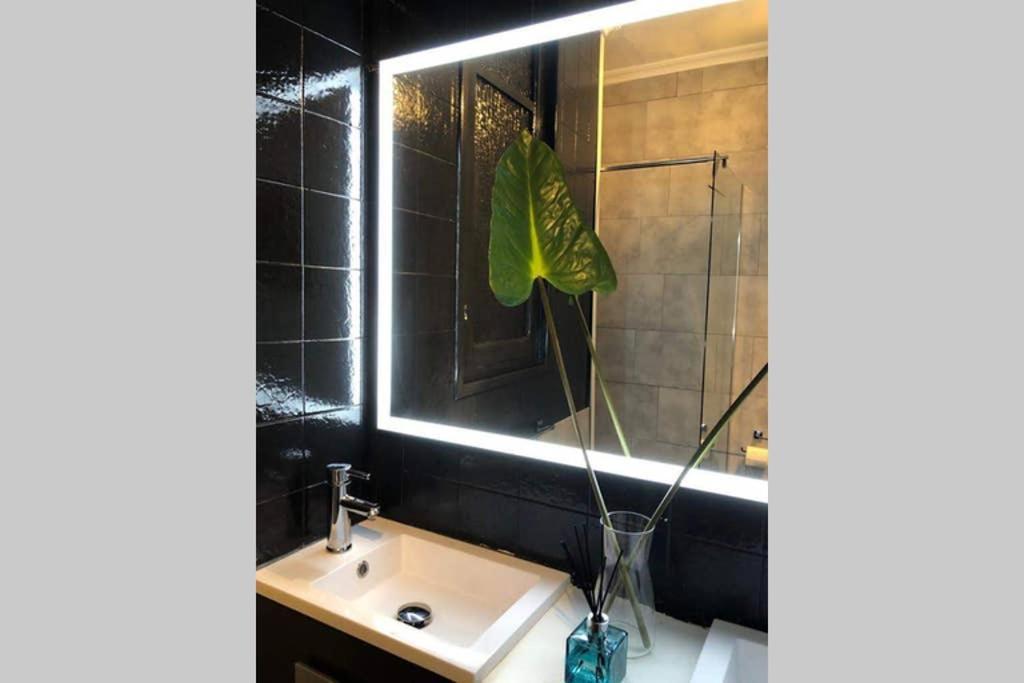 New! Beautiful City Apartment *