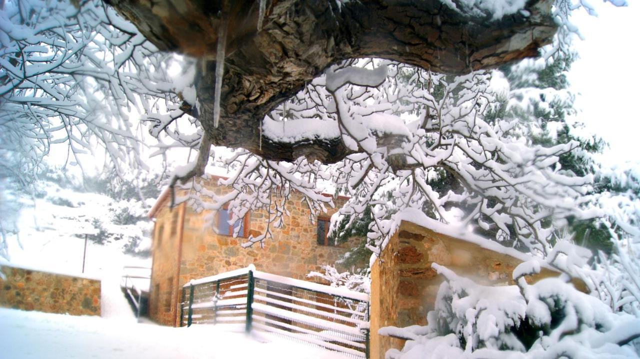 Cortijo Rincon Cabero Ecoturismo Albacete * Yeste