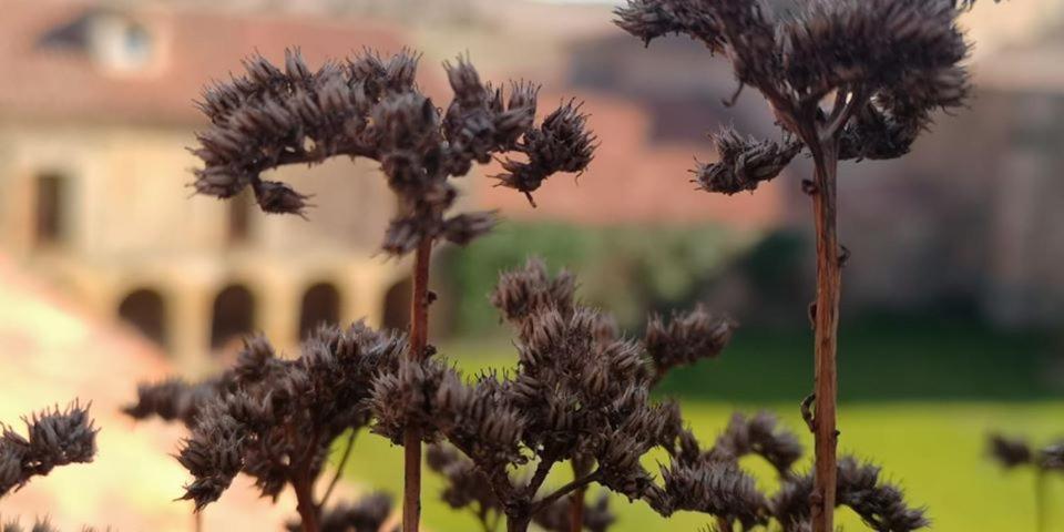 Casa Fuerte San Gregorio Ii *