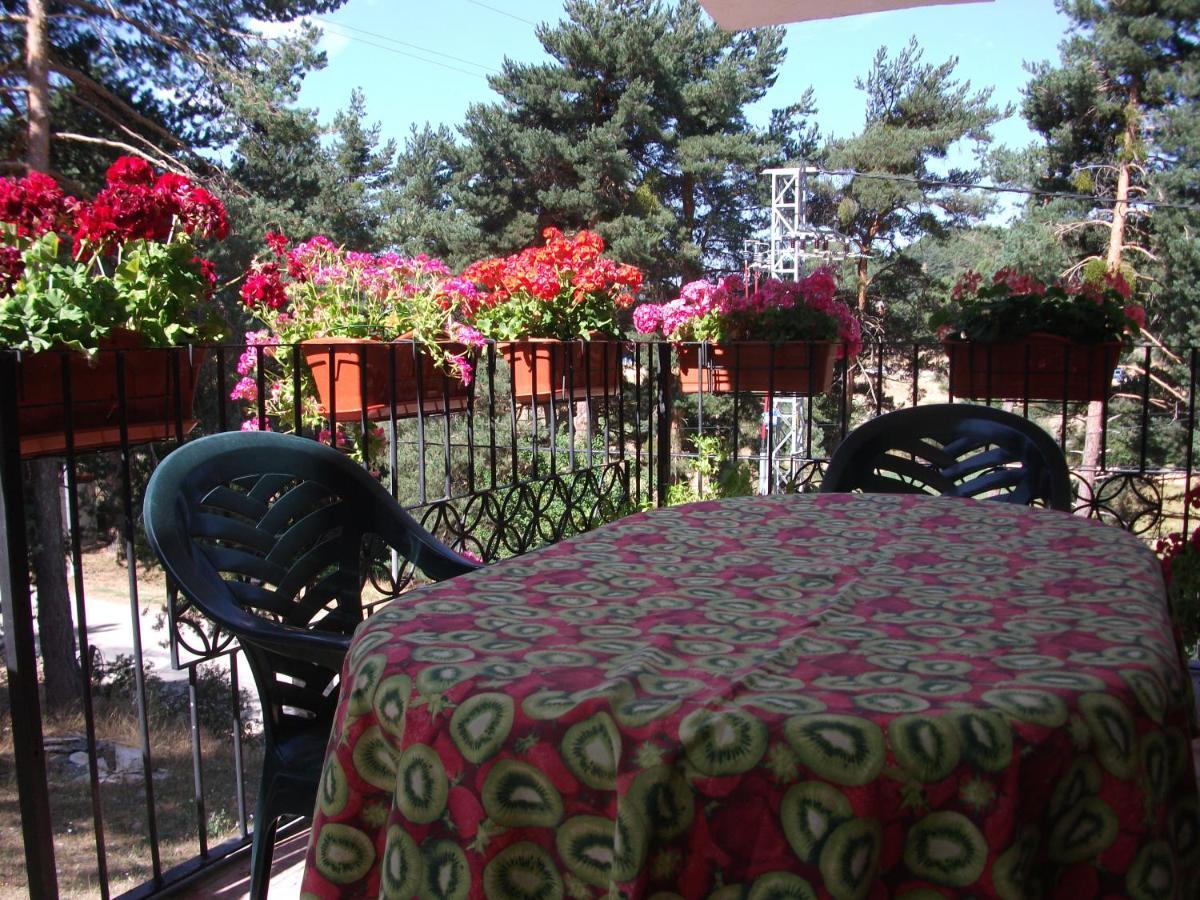 Holiday home Fuente Del Pino Canon De Rio Lobos San Leonardo De Yague