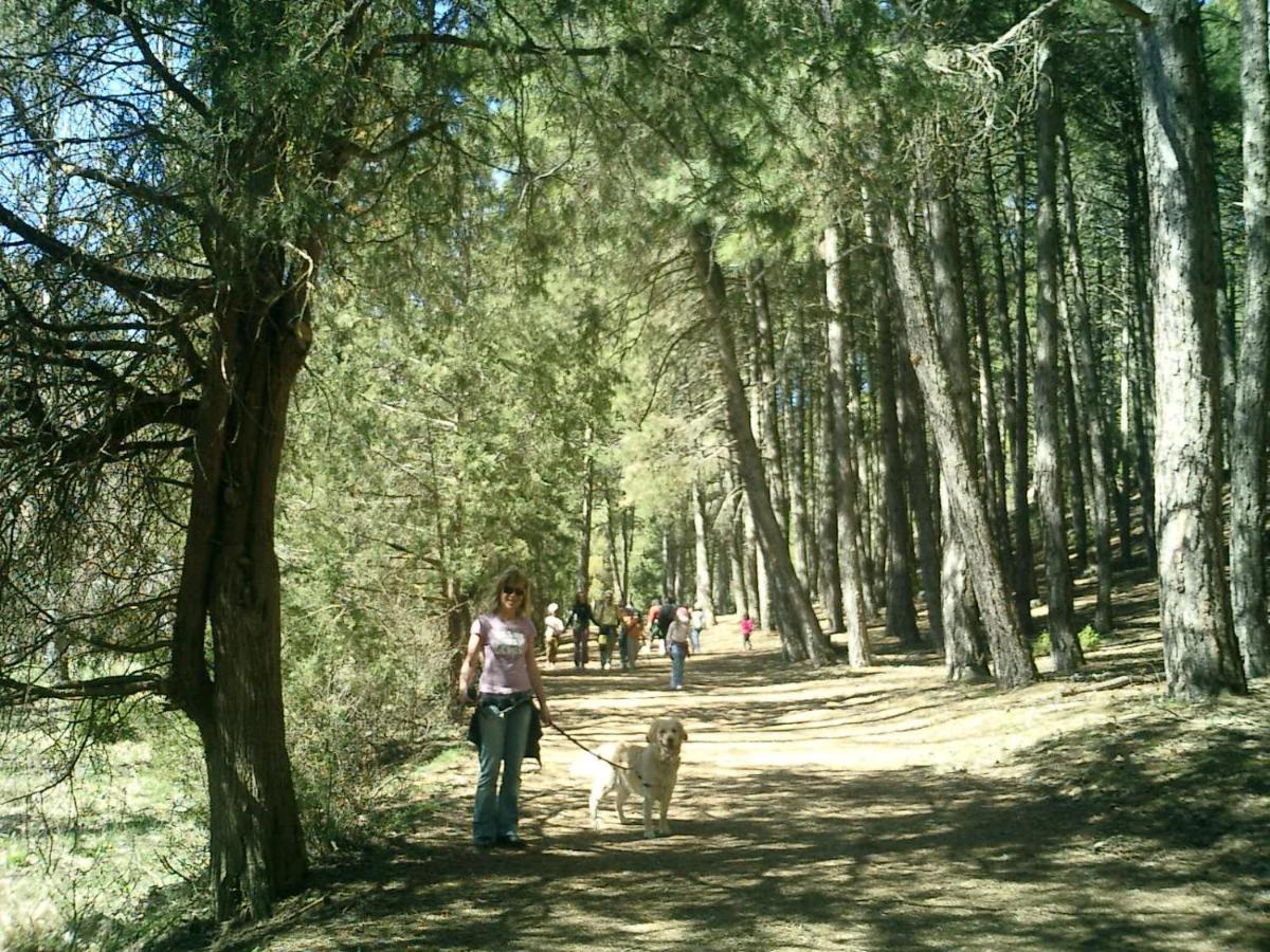 Fuente Del Pino Canon De Rio Lobos * San Leonardo De Yague