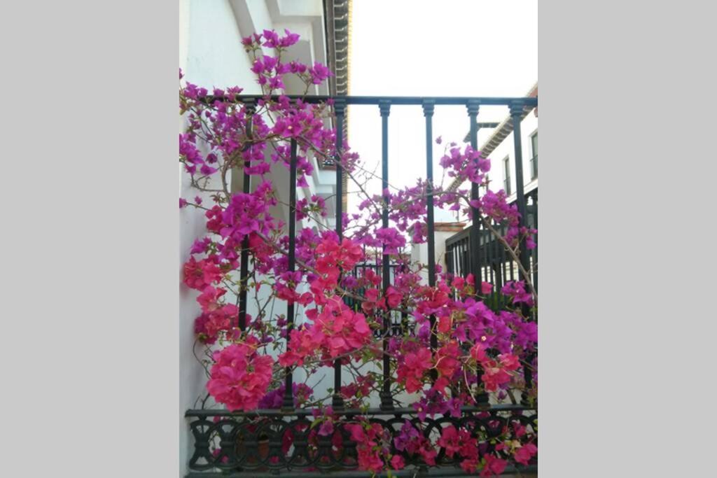 Mirador Del Valle *