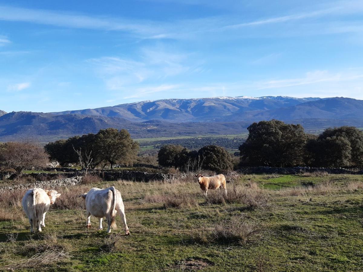 Mi Descanso Country house