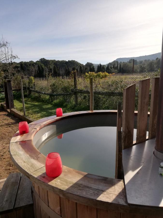 Mas Del Llop Blanc - Dog Friendly Rural - Bed & Breakfast Sobrestany