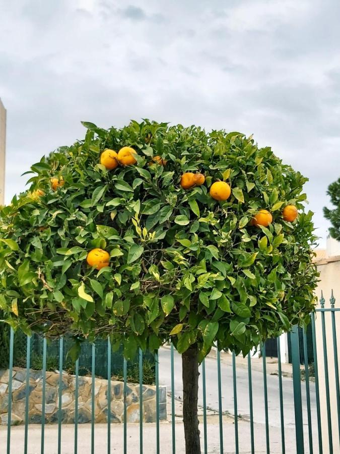 Rosi - 5-10 Minute Walk To La Zenia Beach, Bar, Cliff Walk, Shops, Paddys Point, Cabo Roig - Free Fast Fibre Optic Broadband - No Deposit Required * Oriola (Orihuela)