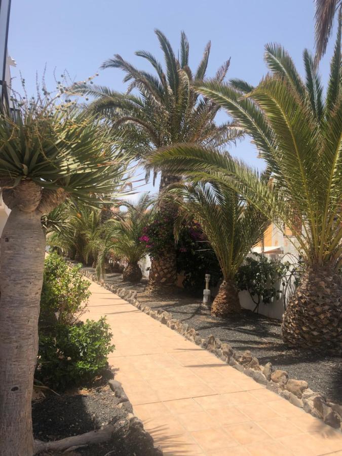 Apartment Smile Complex Amaya Fuerteventura Costa De Antigua