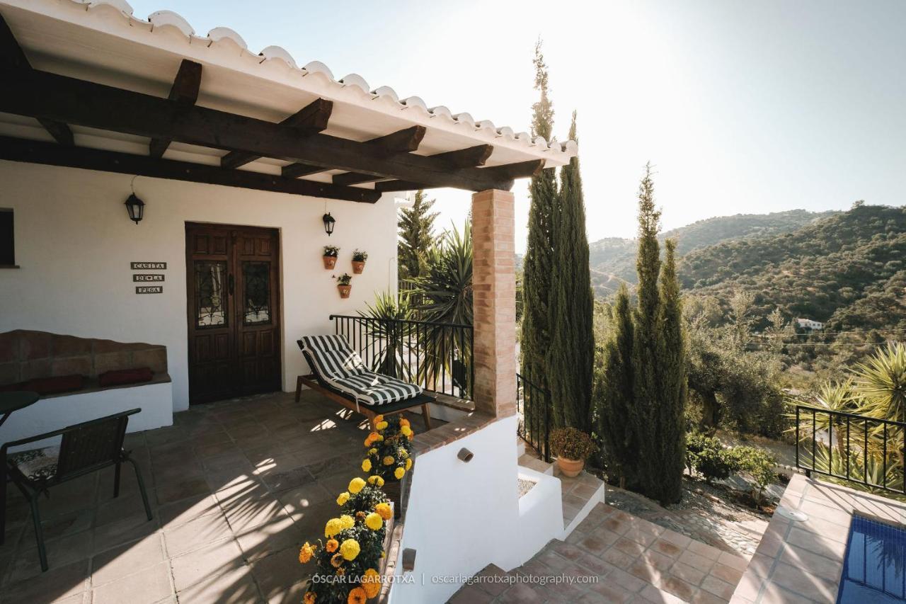 Bed and breakfast Cortijo Loma León