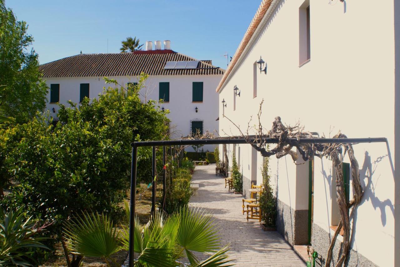La Canota King Adults Only Talara