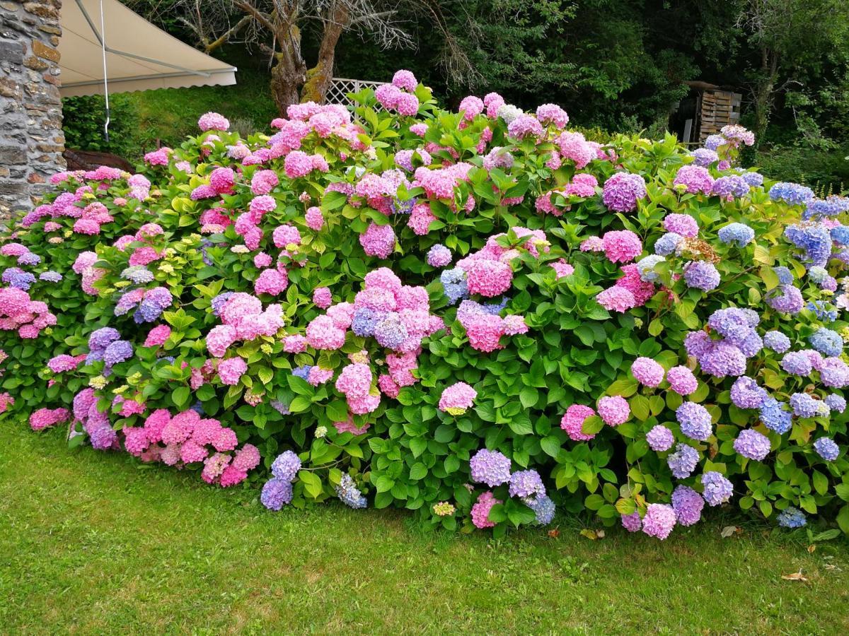 Casa Rural Pikukoborda (adults Only) Bed & Breakfast