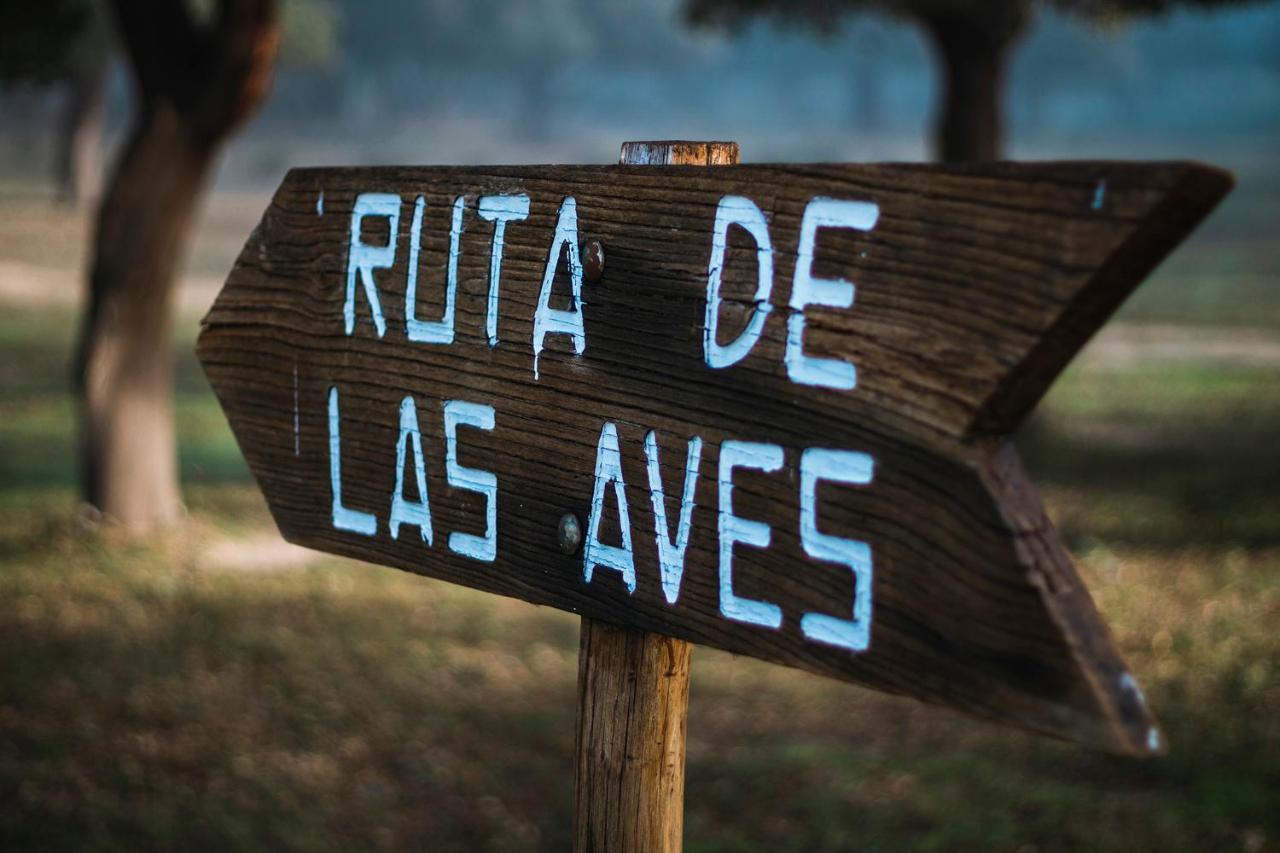La Costanilla De Angeles *