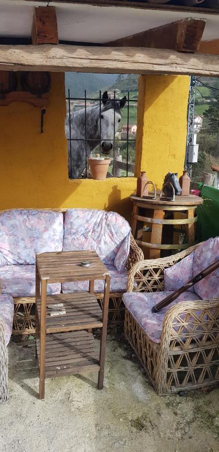 La Hacienda Del Campo Apartamento *