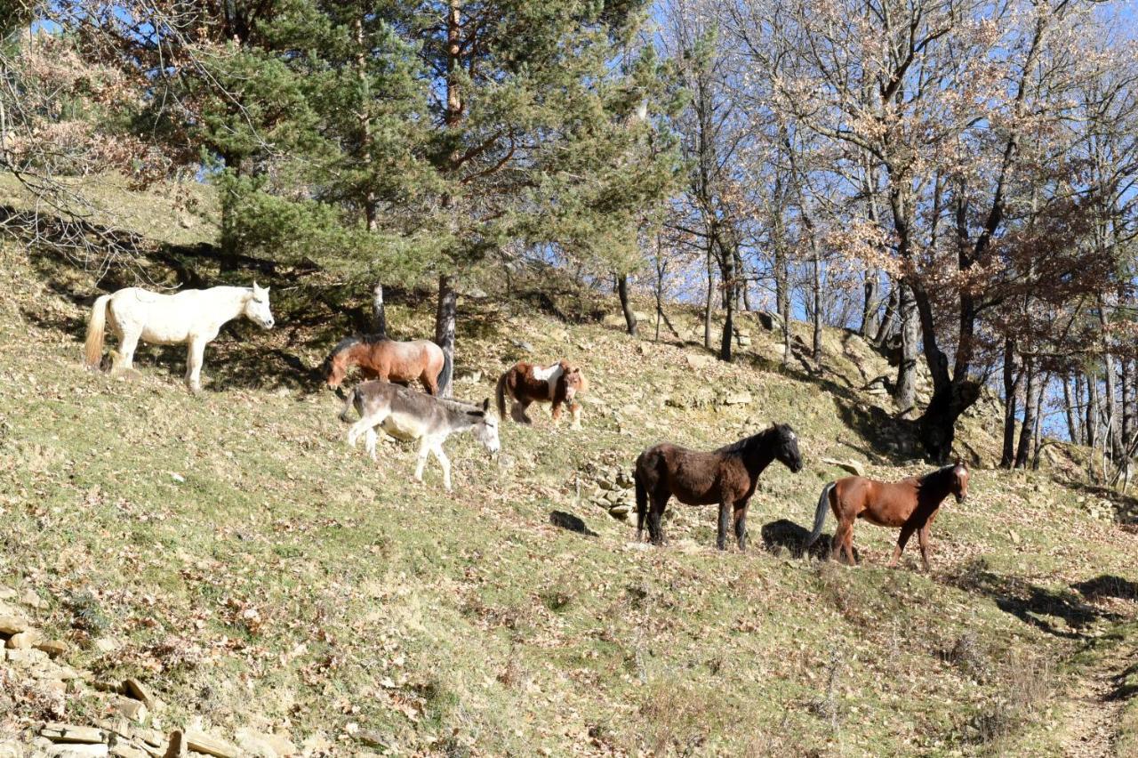 Casa rural Turisme Rural Mas Isoles *