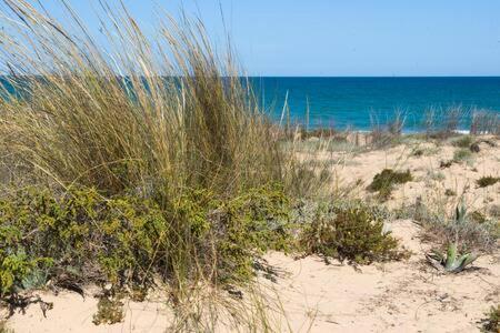 Apartamento Casa Felipa, única En La Costa Blanca *