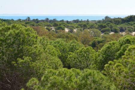 Casa Felipa, única En La Costa Blanca *