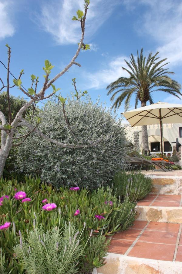 Bed & Breakfast Bancales