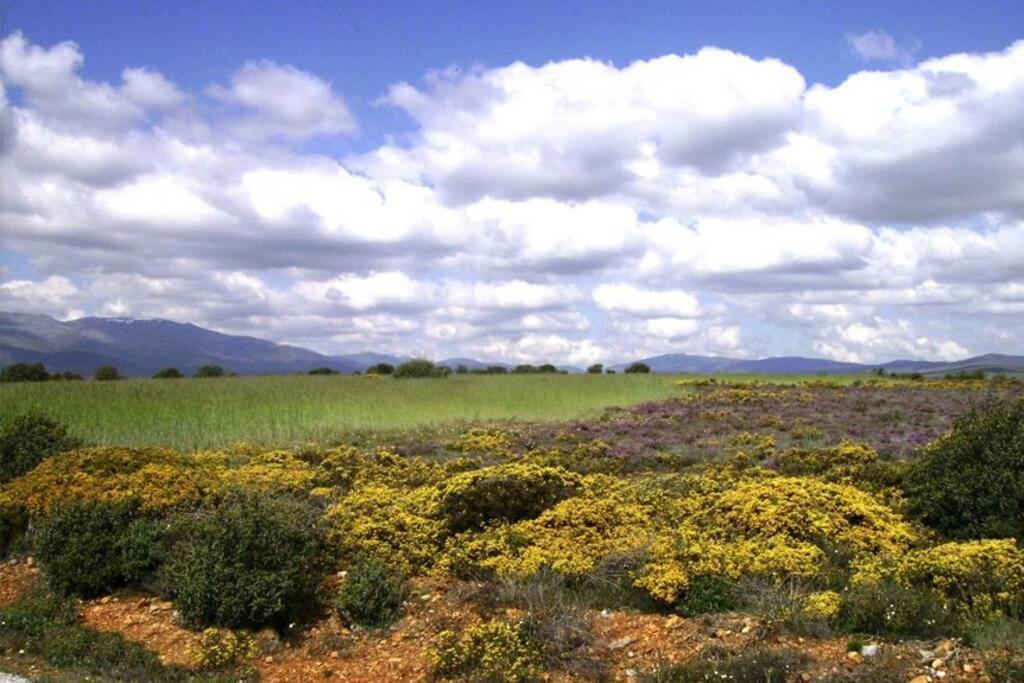Holiday home Casa Camarga