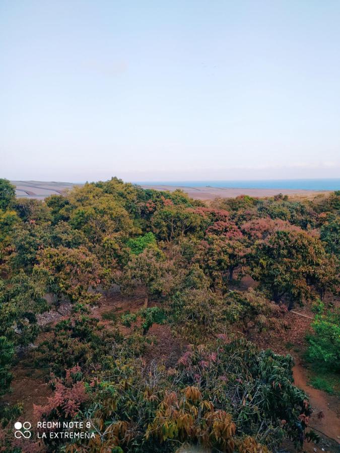 Hacienda La Extremena * Guimar